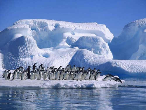 علاقه روزافزون گردشگران برای سفر به قطب شمال