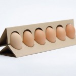 بسته بندی مقوایی تخم مرغ